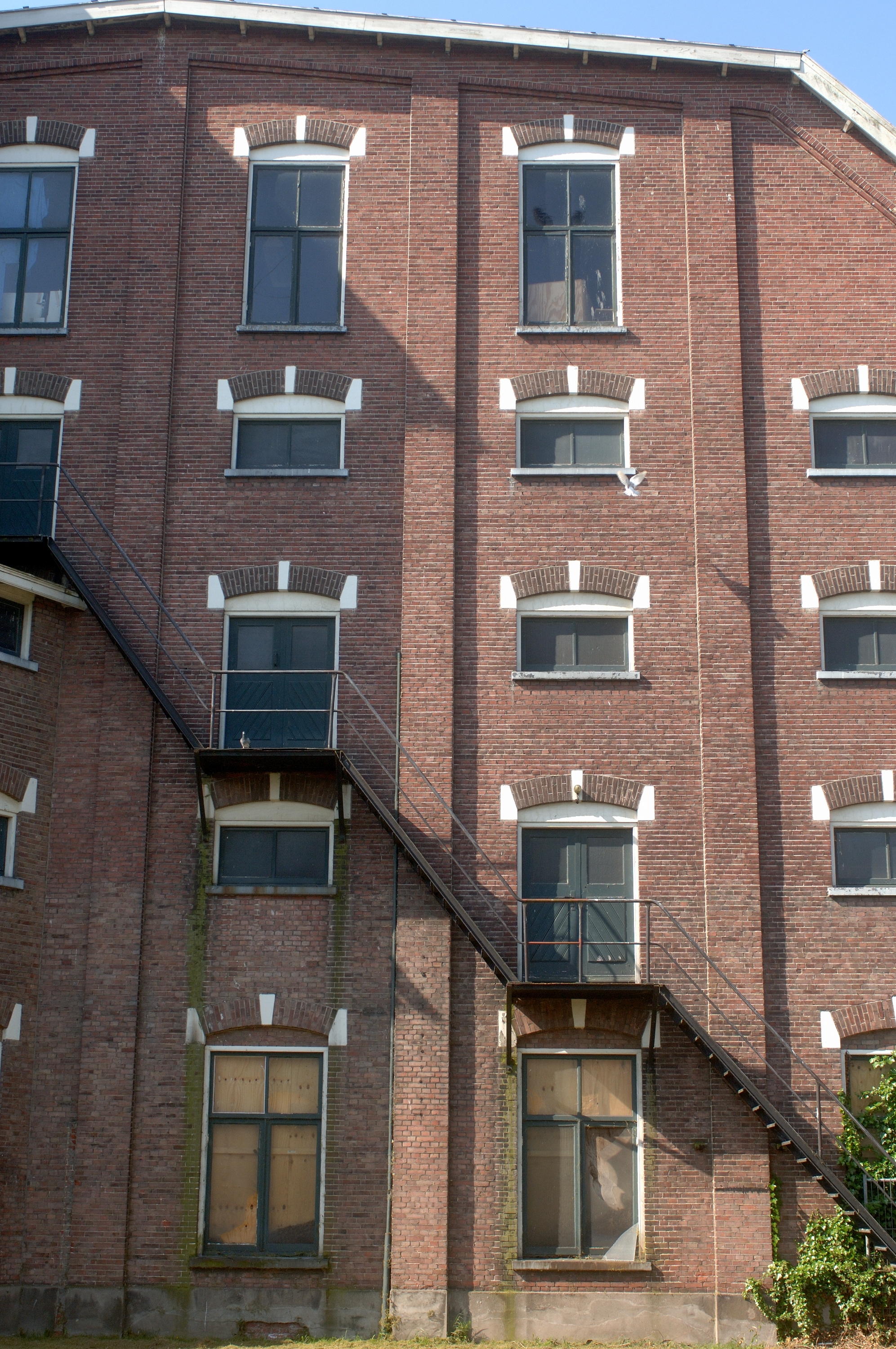 20050527 Ter Steege 024