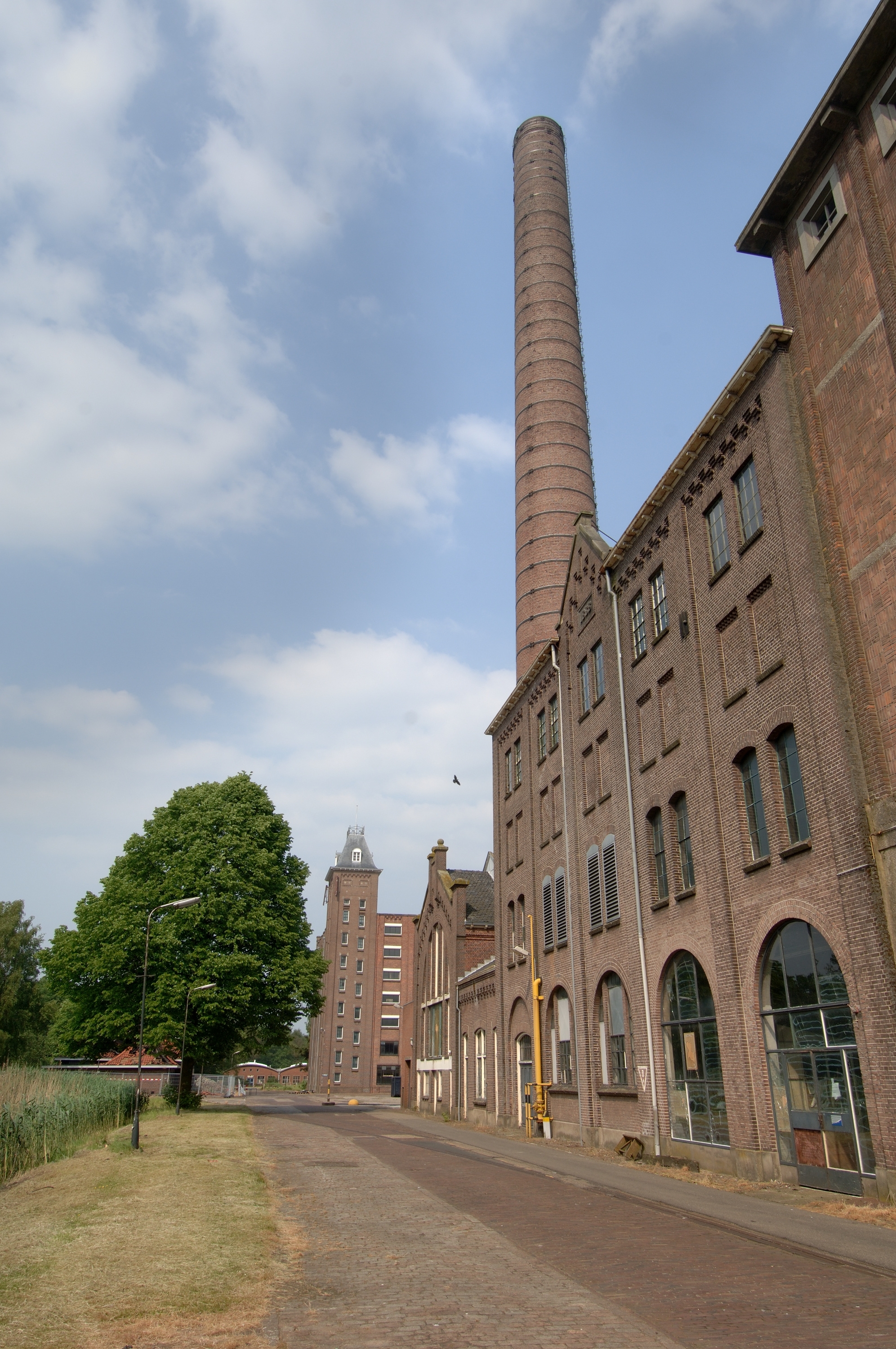 20050528 Ter Steege 12