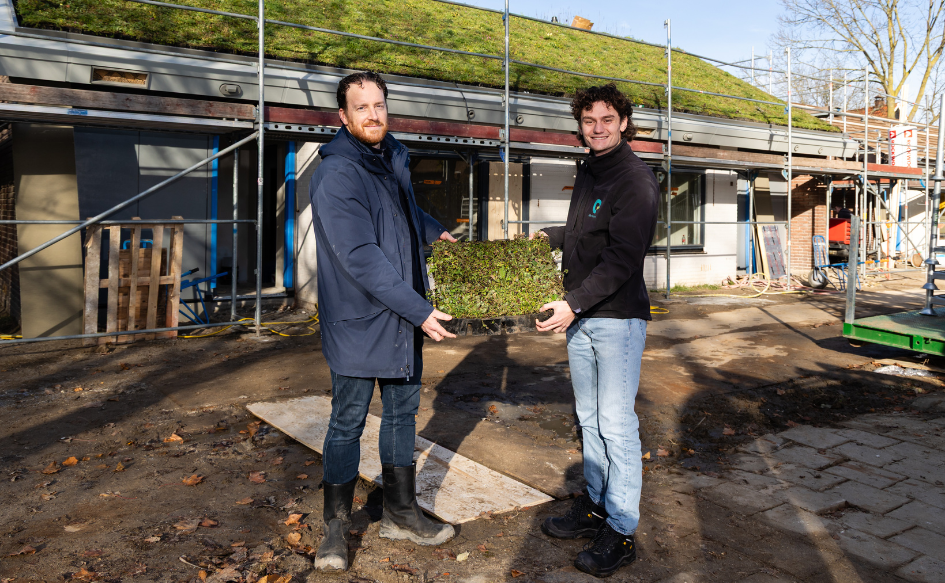 Sedum afbeelding naast tekst